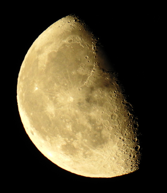 Moon Moon