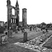 St Andrews Cathedral and St Rule's Tower