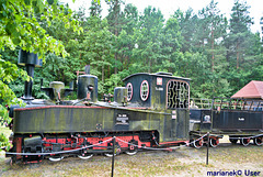 The narrow-gauge railway Hajnówka-Białowieża