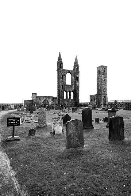 St Andrews Cathedral and St Rule's Tower