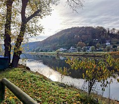 Herbst im Elbtal bei Pirna