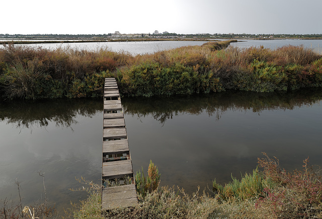 Castro Marim, Salt marshes