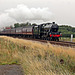 Stanier LMS class 6P Jubilee 45699 GALATEA  running as 45562 ALBERTA at Spital Bridge ,Seamer with 1Z24 06.10 Carnforth - Scarborough The Scarborough Spa Express 13th August 2020. (steam from York)