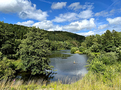 DE - Dahlem - Kronenburger See