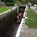 Brynich Lock, Monmouthshire-Brecon Canal, Brecon 23 August 2017