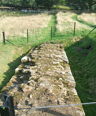 Chesters - Hadrian's Wall
