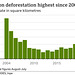clch - South America's deforestation [2020]