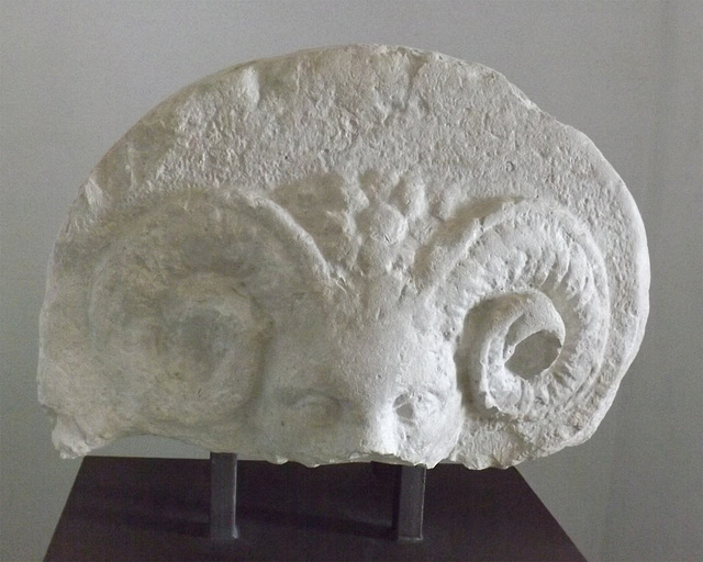 Part of a Fountain in the Museo Campi Flegrei, June 2013