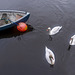 Three Swans and a Boat