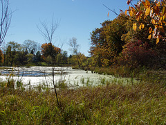 Pond @ Baker Sanctuary