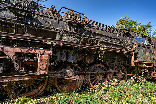 WLF - steam locomotive 50.3555