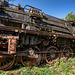WLF - steam locomotive 50.3555