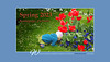 Ipernity Homepage Spring 2023
