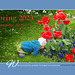 Ipernity Homepage Spring 2023