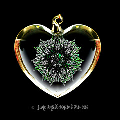 The  green heart