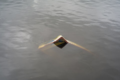 Sunken Rowing Boat