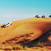 UAE  Jeep Safari. ©UdoSm