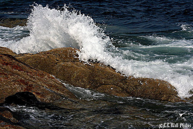 Rising Tide near Pemaquid Point