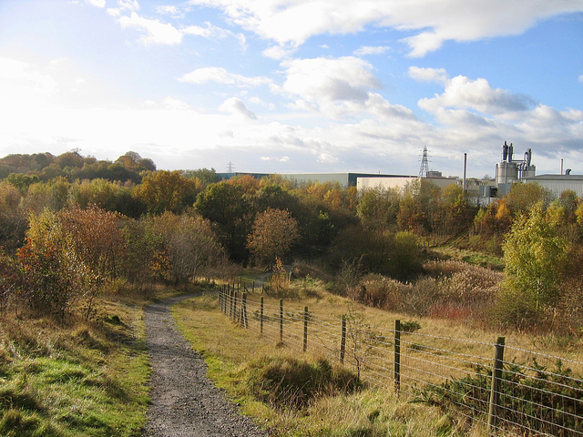 Looking back from the Path leading up to the Dudley No.2 Canal at Netherton.