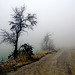 Ein nebliger Novembermorgen - A misty November morning