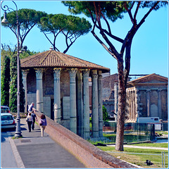 Roma : Il tempio di Vesta