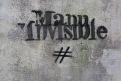 Manu Invisible
