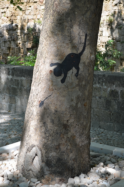 The Fortress of Rhodes, Cat and Mouse on the Tree Bark