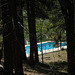 Swimming Pool at Camp Round Meadow (2711)