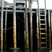 Far Under the Cutler Dock (Low Tide: Ladder Is Important)