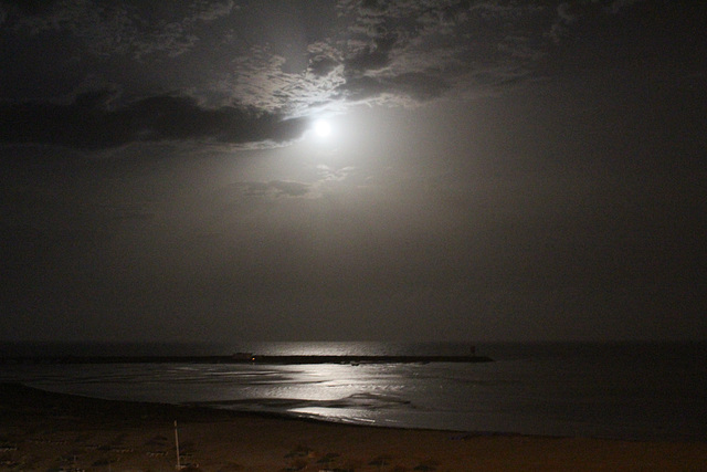 Djerba Moonlight Over the Mediterranean