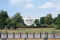 The White House (HFF!)