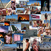 2009 Burning Man Collage