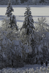 15. Januar 2021 in Bülach (© Buelipix)