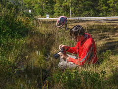 Walter Ezell and Jackie Tate photographing orchids in the ditch