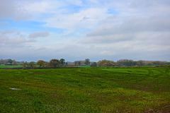 Gnosall fields