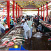 Victoria : grande mercato - reparto pesce fresco .