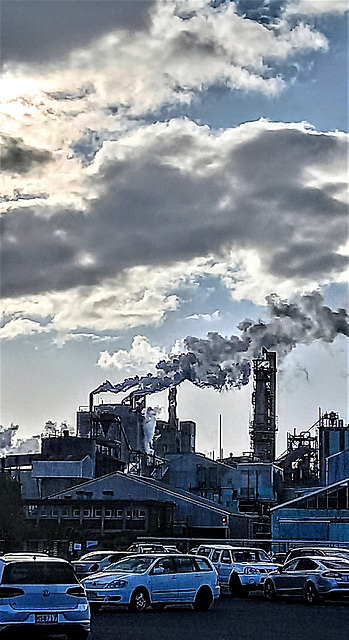 Kinleith Pulp And Paper Mill