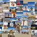 2007 Burning Man Collage