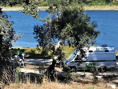 The GNR (Portuguese Republic National Guard) patrol also went to bath in Obidos Lagoon