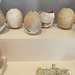 Eggshells from Hypogeum 223 in the Archaeological Museum of Madrid, October 2022