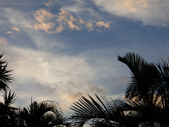 cielo y palmeras Costa Rica