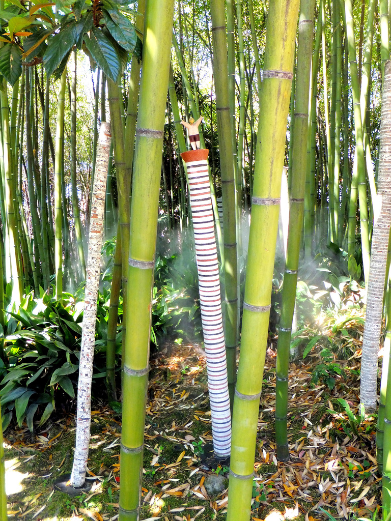 Bambusstämme. ©UdoSm