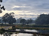 Wetlands with Mt Lofty in background after a storm
