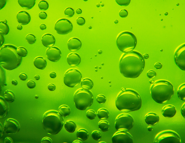 Green Bubbles (Explored)