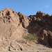 Israel, The Mountains of Eilat, A Little Green
