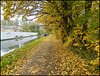 autumn canal path