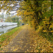 autumn canal path