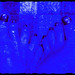 the feet from the Blue-man-Groupe