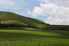 Above Firle