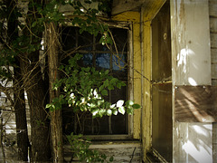 Abandoned porch